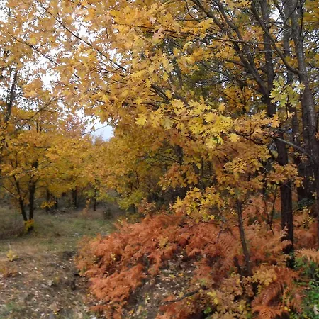 度假居 Baelo Claudia *